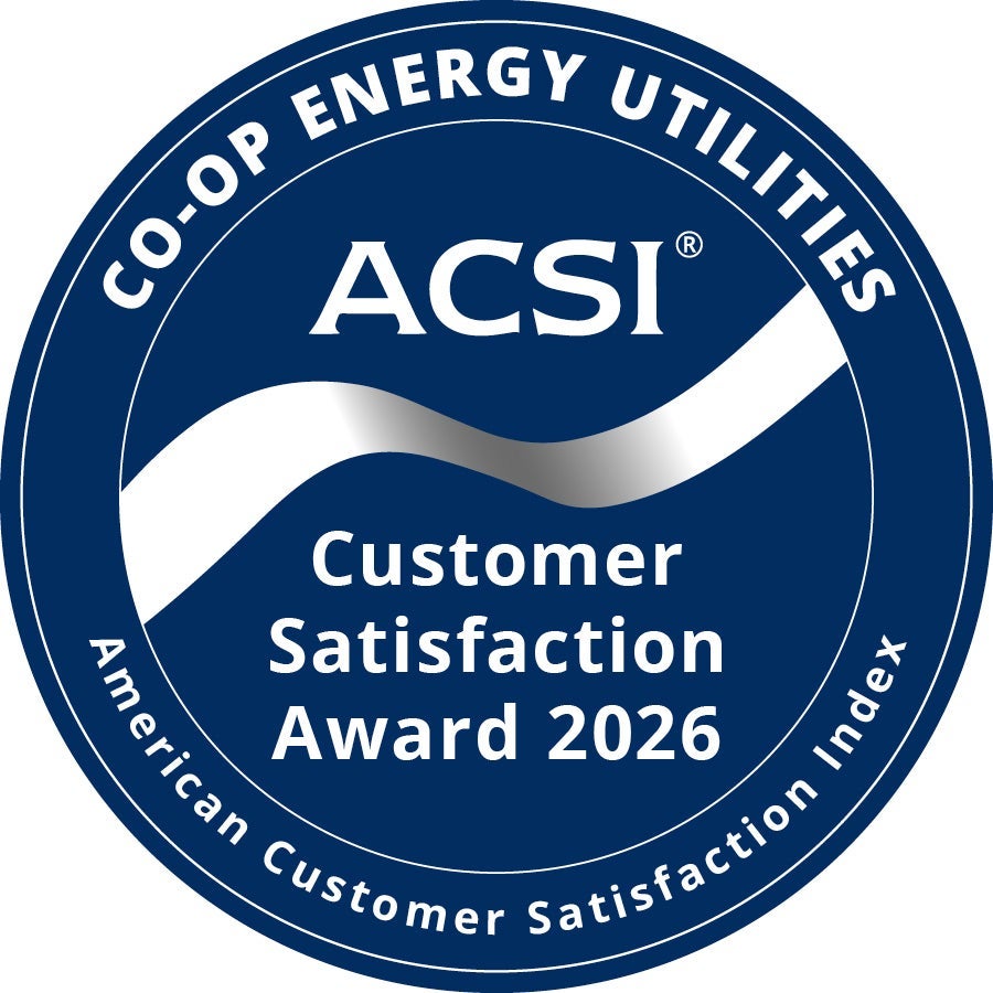 ACSI Badge